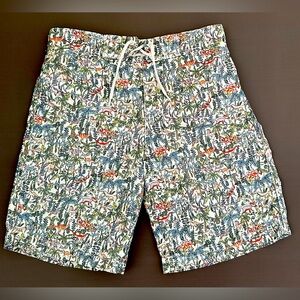 Janie And Jack Swim Trunks Kids Boy Dinosaur, Green multicolor Size 6US